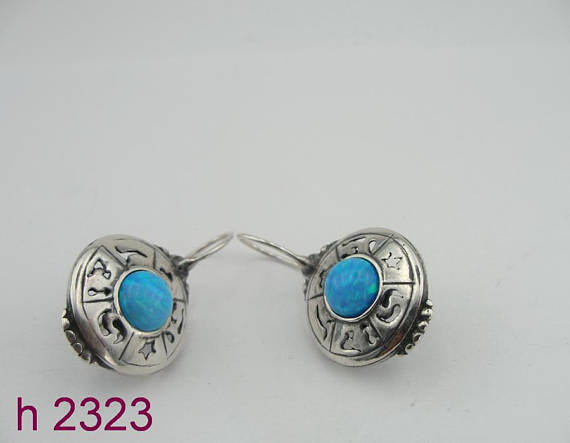 Silver & Opal Round Earrings ( h2323